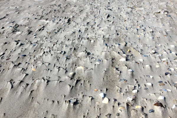 Textury písku a mušle — Stock fotografie