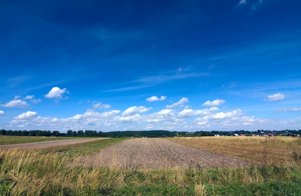 Ukrainian fields view — Stock Photo, Image