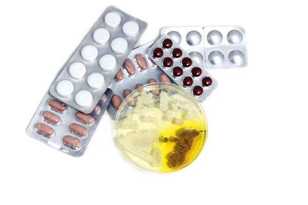 Pills and microorganisms — Stock Photo, Image