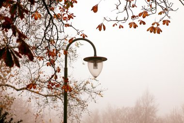 Sabah parkta eski fener