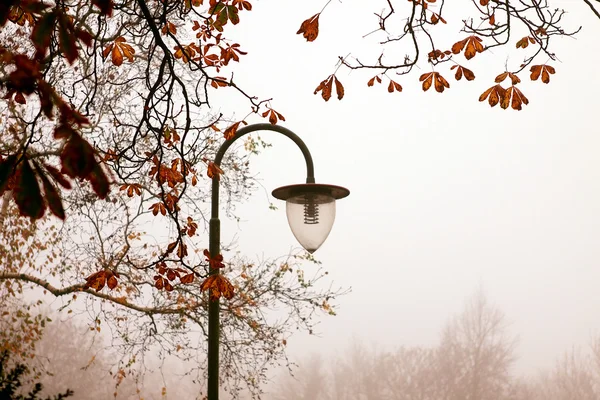 Старый фонарь в утреннем парке — стоковое фото