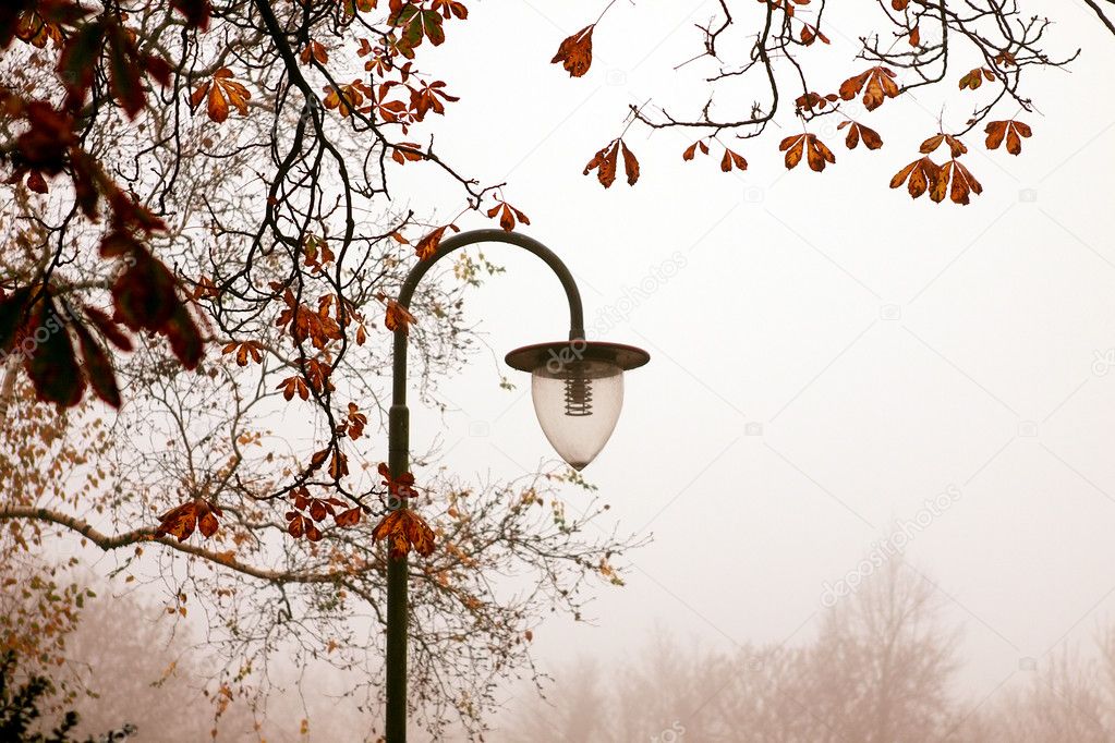 Old lantern in morning park