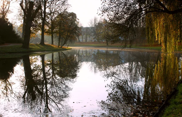 Herbstpark am Morgen — Stockfoto