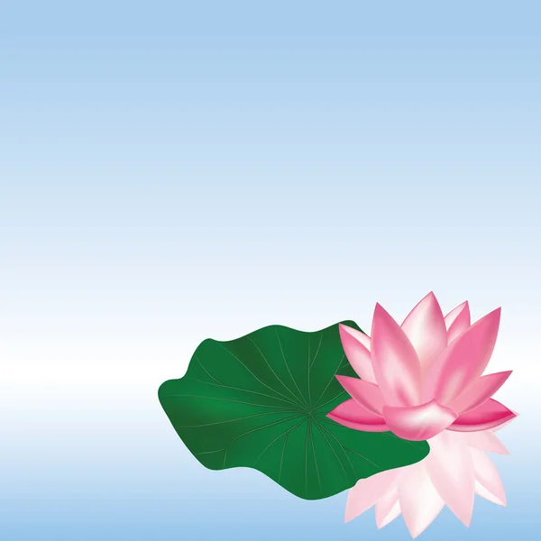 Lotus on the water — Stock Vector