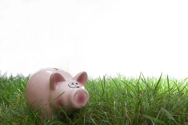Coin bank sitting on grass with copy space — Stock Photo, Image