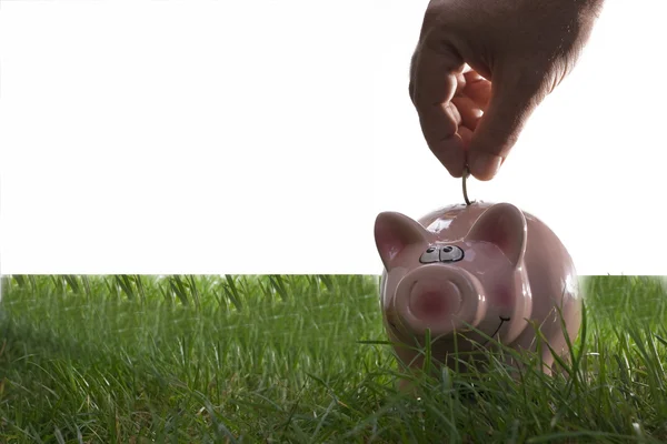 Coin bank sitting on grass with copy space — Stock Photo, Image