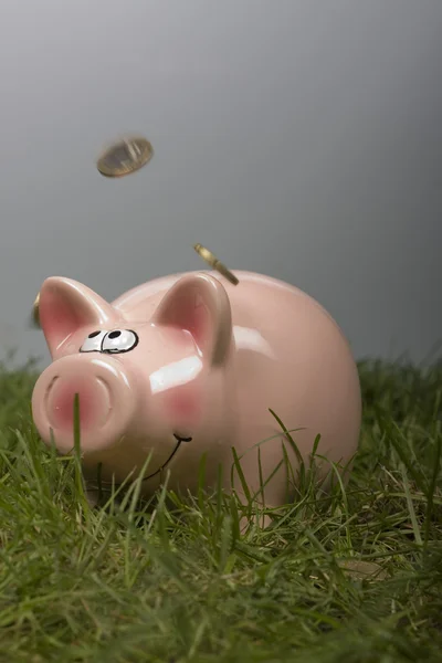 Piggy bank isolated on white background — Stock Photo, Image