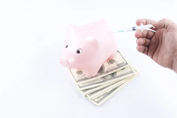 stock image Piggy bank