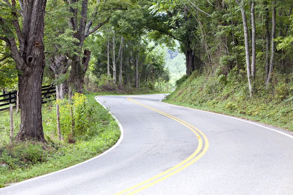 Drum de țară îngust și pășune cu copaci verzi și gard — Fotografie, imagine de stoc