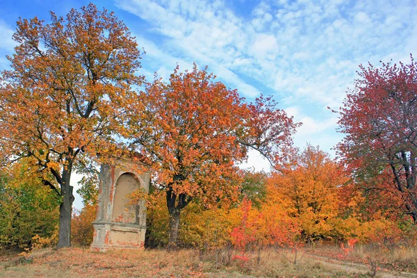 Autumnal scenery — Stock Photo, Image