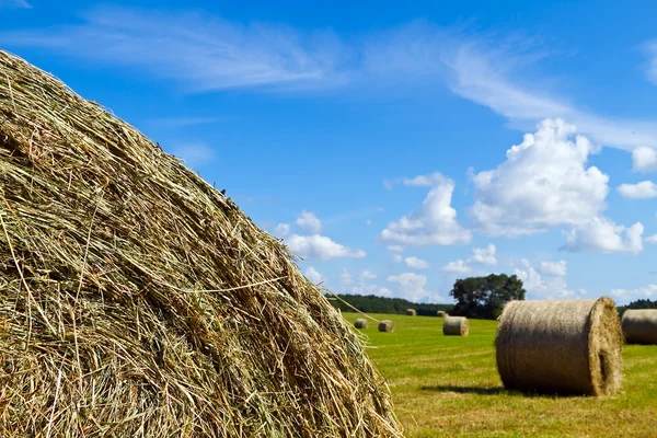 stock image The hay bale in the foreground in rural field