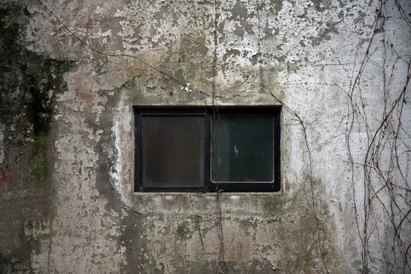 Seltsame Wurzeln bedeckten die Fenster — Stockfoto