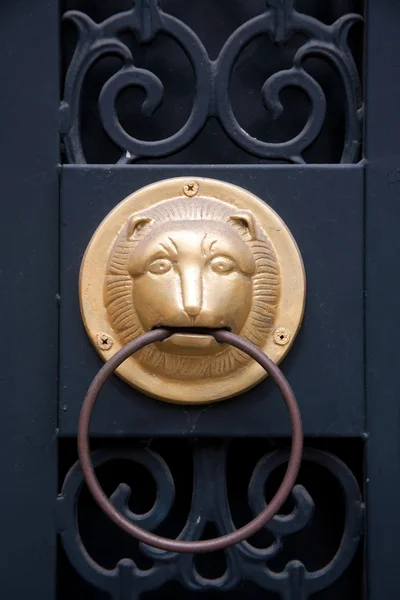 Śmieszne lew drzwi ozdoba — Zdjęcie stockowe
