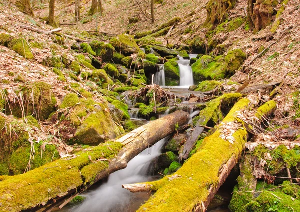 Moss on logs in a mountain stream — Stock Photo, Image