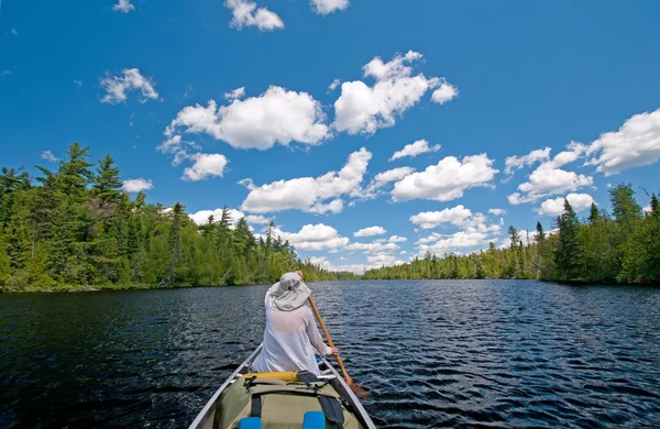 Paddling into the wilds — Stock Photo, Image