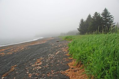 Coastal fog in Alaska clipart