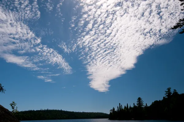 Nubes y Siluetas en el Bosque del Norte — Foto de Stock