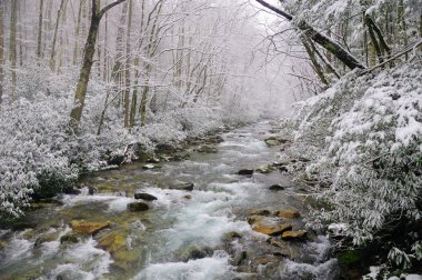 Spring snow in the smokies clipart
