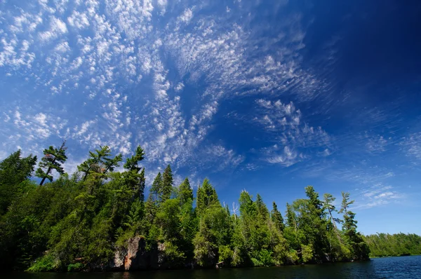 Hoge wolken in het Noord-bos — Stockfoto