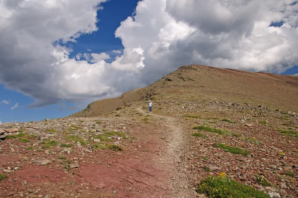 Rubriek omlaag een alpine trail — Stockfoto