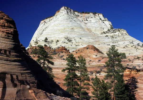 Beyaz kayalıklar Zion — Stok fotoğraf
