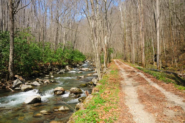 Trail langs een rivier — Stockfoto