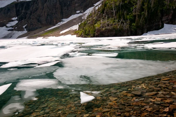 Лед на воде — стоковое фото