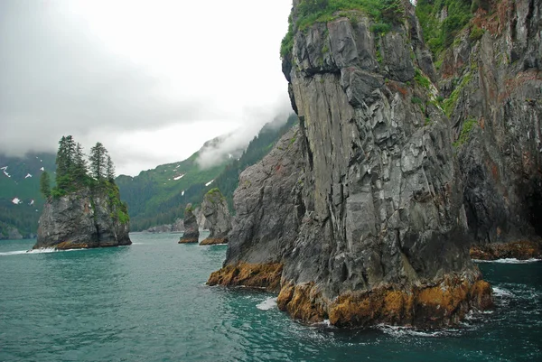 Stekelvarkens van de baai in alaska — Stockfoto