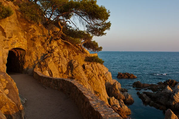 stock image Lloret de mar