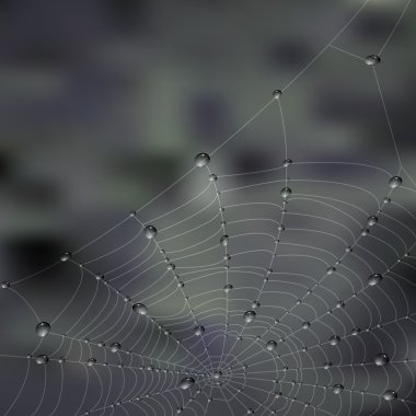 Spiderweb clipart