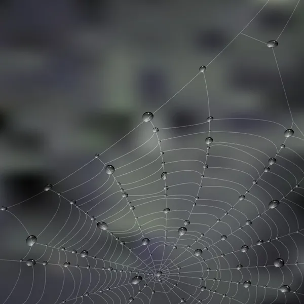 Spiderweb — Stock vektor