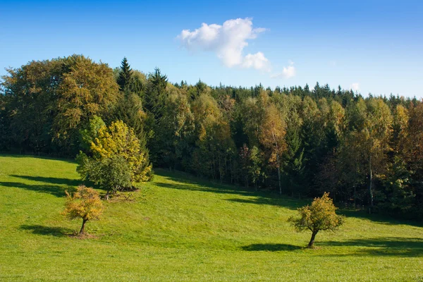 Countryside landscape — Stock Photo, Image