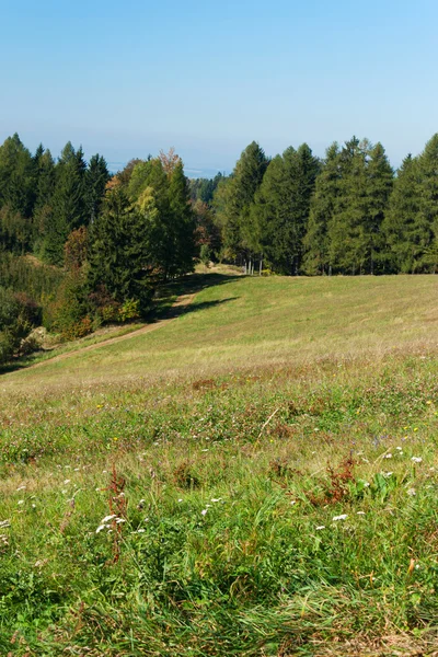 Countryside landscape — Stock Photo, Image