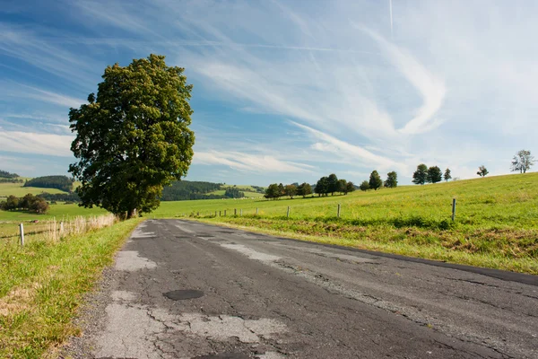 Road and landscape — Stock Photo, Image