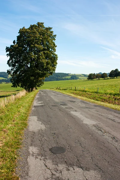 Estrada e paisagem — Fotografia de Stock