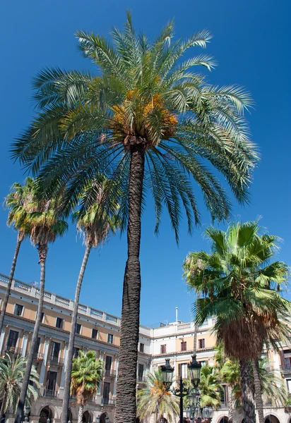 Stock image Plaza Reial, Barcelona