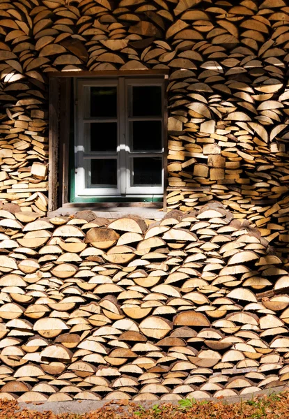 Casa e tronchi — Foto Stock