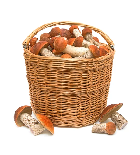 Wild mushrooms in a wicker basket — Stock Photo, Image