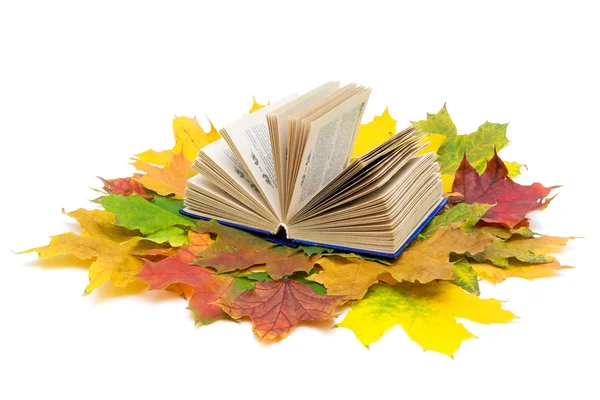 Открытая книга и осенние кленовые листья на белом фоне — стоковое фото