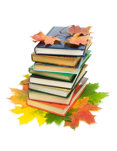 Libri e foglie autunnali su sfondo bianco — Foto Stock