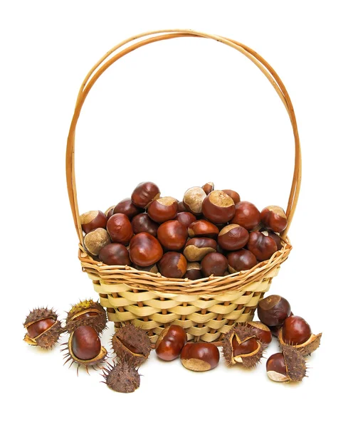 Basket full of chestnuts — Stock Photo, Image