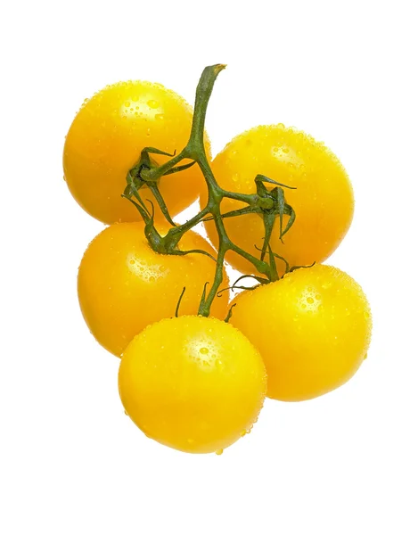 Kilka pomidorów żółty na białym tle — Zdjęcie stockowe