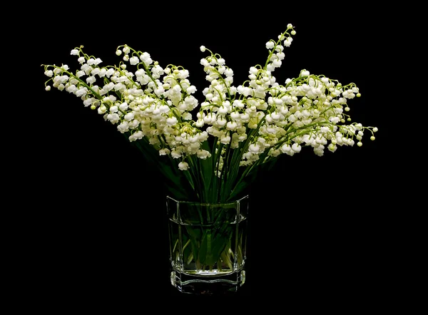 Lilies of the valley Stock Photos, Royalty Free Lilies of the valley ...