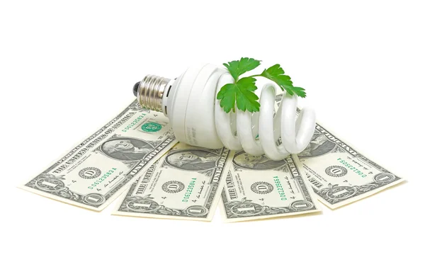 Lâmpada de poupança de energia e dinheiro e uma planta verde — Fotografia de Stock