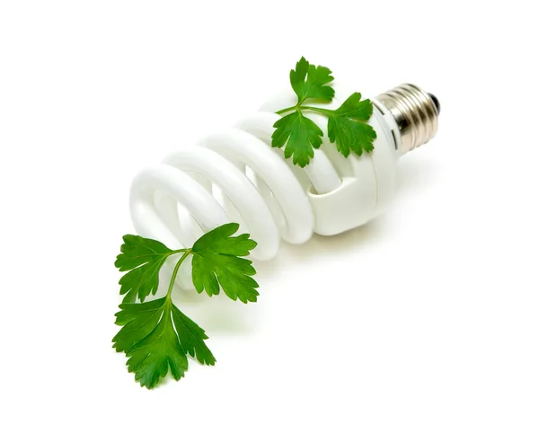 Fluorescent energy saving light bulb with green plant Royalty Free Stock Images