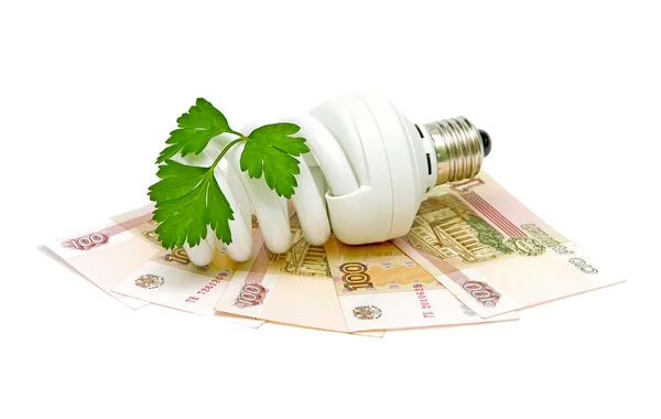 Energy saving light bulb and money and a green plant on white ba — Stock Photo, Image