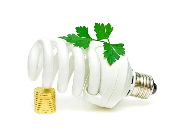 Lâmpada de poupança de energia e uma planta verde com moedas em um branco — Fotografia de Stock