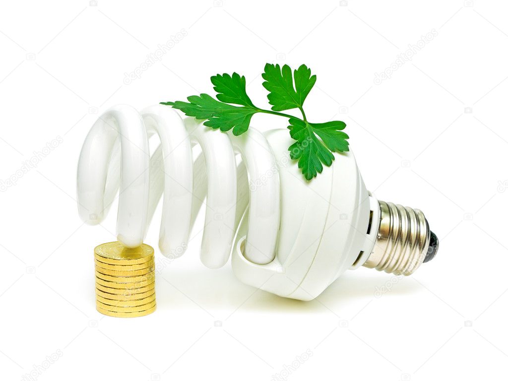 Energy saving light bulb and a green plant with coins on a white