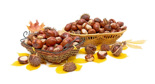 Bodegón de otoño - castañas maduras en cestas de mimbre . —  Fotos de Stock