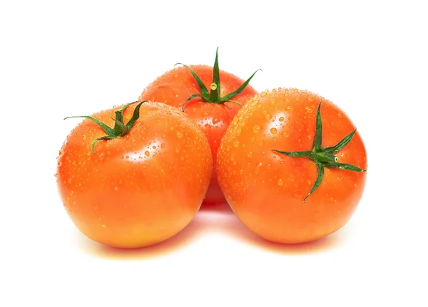 Tomates en gotas de agua sobre fondo blanco —  Fotos de Stock